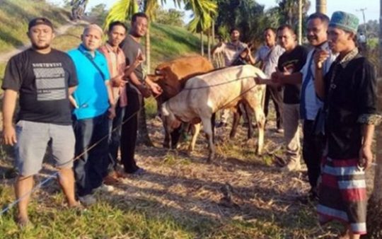Hilang Dicuri, Empat Sapi Milik Warga Palas Ditemukan di Lamtim