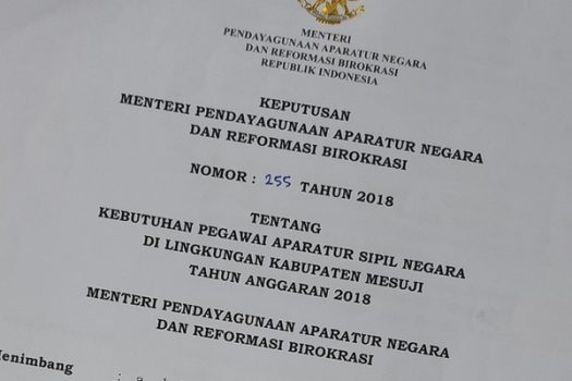 Kemenpan-RB Tetapkan 284 Formasi CPNS untuk Mesuji