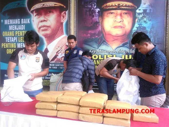 Ini Modus Baru Penyelundupan Ganja Kering dari Aceh ke Lampung