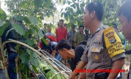 Duel Maut, Satu Warga Ulubelu Tanggamus Tewas Bersimbah Darah