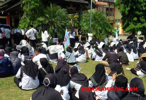 Penerimaan CPNS tak Adil, Ratusan Honorer K2 Lampura Berunjuk Rasa