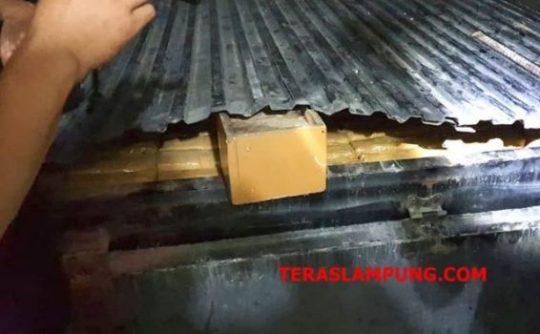 Pengiriman 239 Ganja Asal Aceh Digagalkan di Polres Lamsel dan BNNP