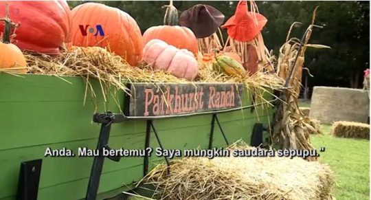 Video: Bertemu Adik yang Hilang lewat Tes DNA di Internet