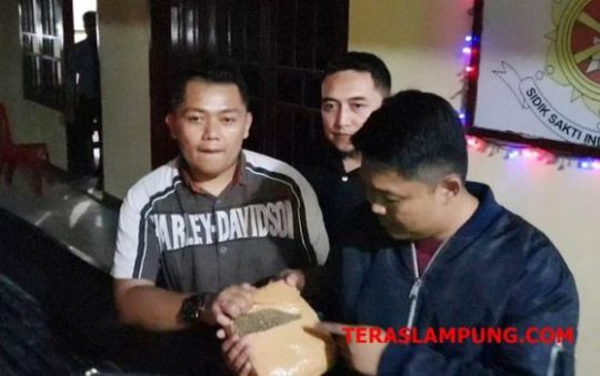 Kasat Reserse Narkoba Polres Lampung Selatan, Iptu Ferdiansyah bersama tim dari BNN pusat dan BNNP Lampung saat menunjukkan barang bukti ganja asal Aceh yang disita dari dua pelaku kurir Syarif dan Aris.