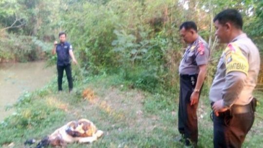 Polisi Masih Selidiki Kerangka Manusia yang Ditemukan di Way Pangubuan