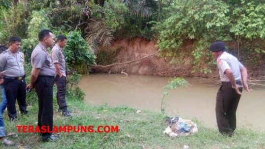 Kerangka Manusia dalam Karung di Way Pangubuan Diduga Korban Pembunuhan