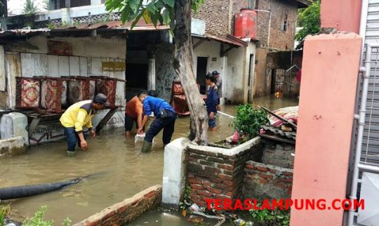 Cegah Banjir, Pemprov Lampung Ajak Masyarakat Tanam Pohon Penghijauan