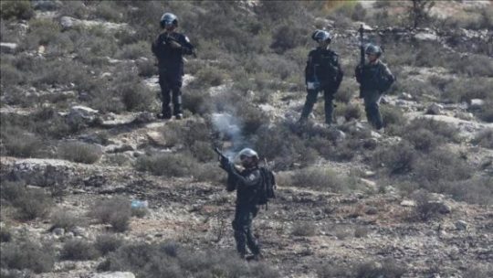 Israel Serang Sekolah di Tepi Barat dengan Gas Air Mata