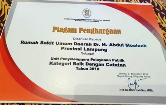 RSUAM Raih Penghargaan, Gubernur Ridho Minta Jaga Mutu Pelayanan