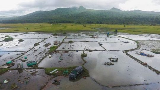 Potensi Tsunami 20 Meter di Pantai Selatan Jawa, Ini Kata BMKG