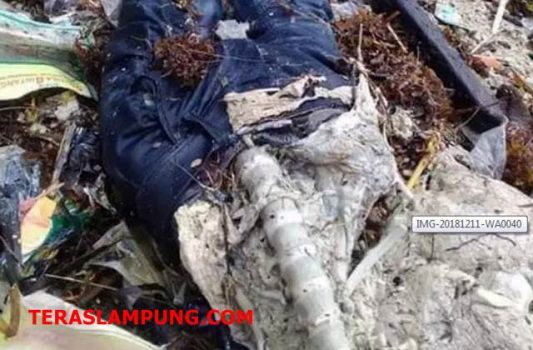Mayat Membusuk Terbungkus Celana Jins Hebohkan Warga Suak Lamsel