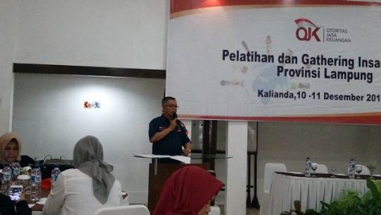 Hingga Oktober 2018 OJK Lampung Terima 441 Pengaduan