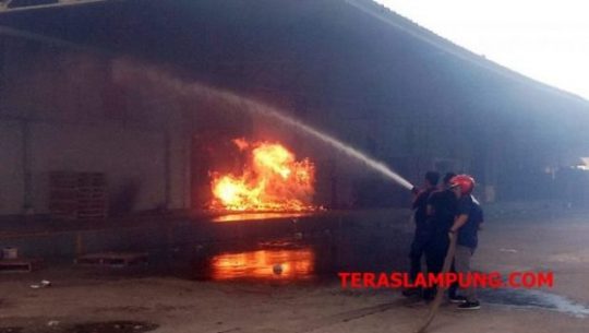 Gudang PT Lampung Distribusindo di Kalibalangan Lampung Utara Terbakar