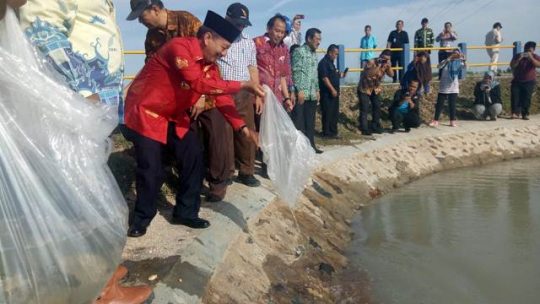 Walikota Herman HN Tebar Benih Ikan di Kolam Kebun Raya Itera