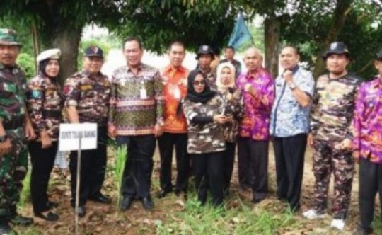 FKPPI Tulangbawang Tanam 257 Batang Pohon Aren