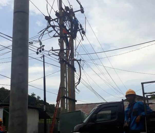 Pohon Tumbang Timpa Jaringan PLN, Sebagian Bandarlampung Listrik Padam