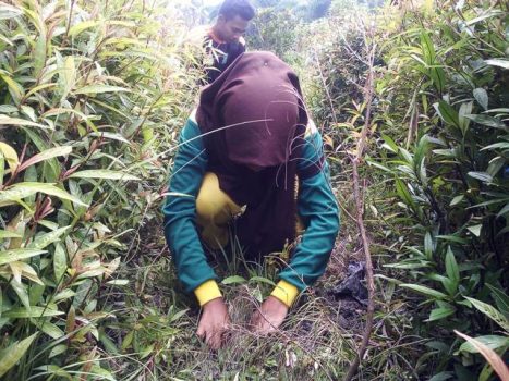 Sispala LGH Gelar Pendidikan Lingkungan Hidup di SMPN Satap 1 Kalianda