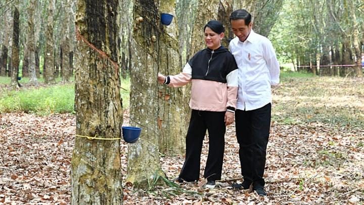 Wah, Jokowi dan Iriana Berpose Romantis di Malam Minggu