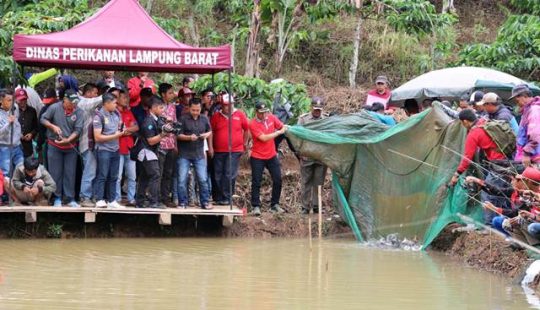 Bupati Parosil Ajak Masyarakat Lambar Tingkatkan Konsumsi Ikan