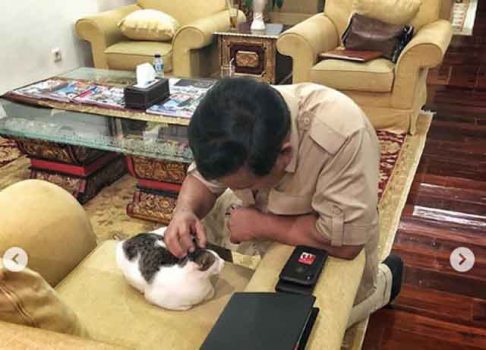 Heboh Prabowo Bisa Komunikasi dengan Semut dan Nyamuk