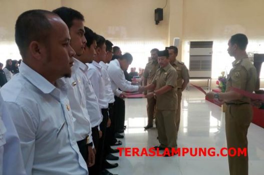 Walikota Herman HN Serahkan SK untuk 424 CPNS
