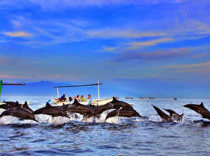 Pantai Lovina dengan ratusan lumba-lumba yang siap menyambut wisatawan (Foto: idtempatwisata.com)