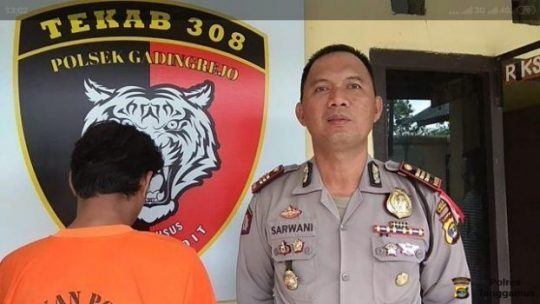 Cabuli Gadis di Bawah Umur, Warga Pekon Mataram Pringsewu Dicokok Polisi
