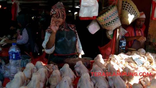 Jelang Ramadan: Harga Ayam Potong Naik, Harga Daging Stabil