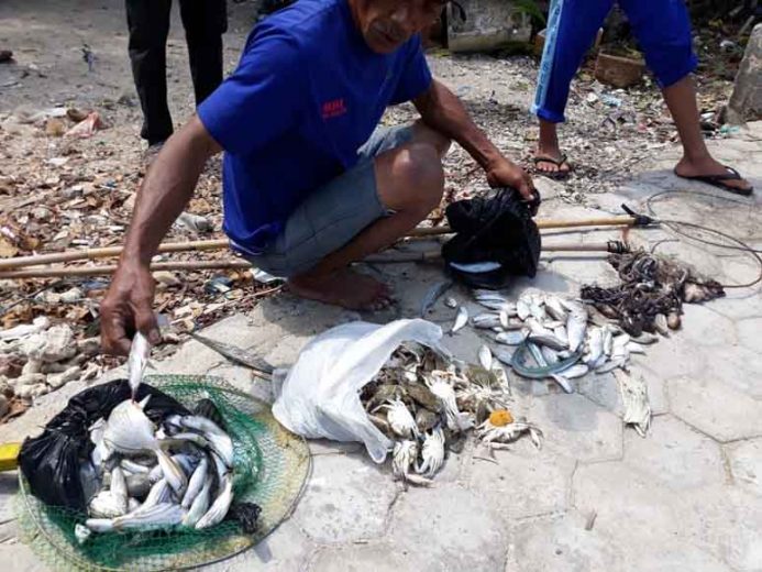 Ratusan Ikan di Teluk Lampung Mati, Diduga Tercemar Limbah