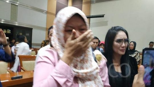 DPR Sepakat Dukung Presiden Jokowi Beri Amnesti untuk Baiq Nuril
