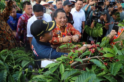 Gubernur Arinal Buka Festival Kopi Lampung Barat 2019