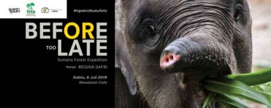 Malam Ini APFL Gelar Ngobrol Buku Foto “Before too Late” Karya Regina Safri