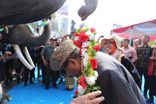 Parade Budaya “Lampung Culture Tapis Carnival 2019” Berlangsung Meriah