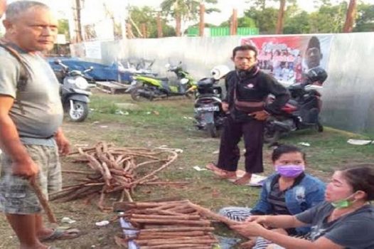 Setelah Viral karena Bisa Obati Kanker, Akar Bajakah Kini Laris Manis