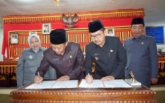DPRD Lampung Selatan Sahkan Raperda APBDP 2019