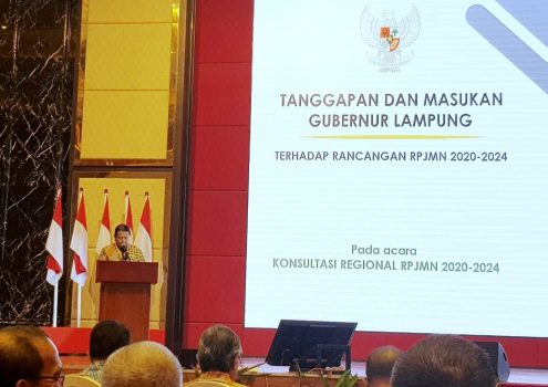 Gubernur Arinal Hadiri Konreg RPJMD-RPJMN 2020-2024 di Medan