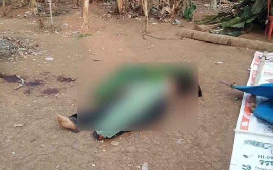 Pria Tewas dengan Leher Tergorok di Arena Sabung Ayam di Pulau Panggung Tanggamus