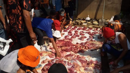 Pemuda Pancasila Bandarlampung Potong Kerbau dan Sapi