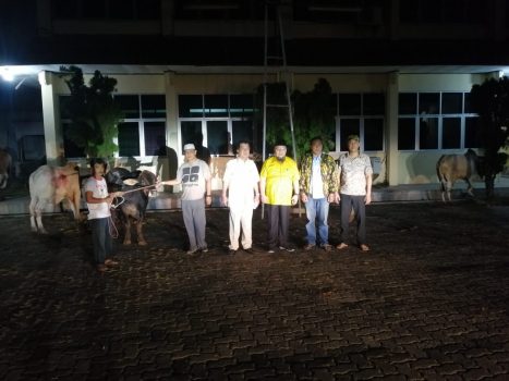 Partai Golkar Lampung Sembelih 31 Ekor Sapi dan 61 Ekor Kambing