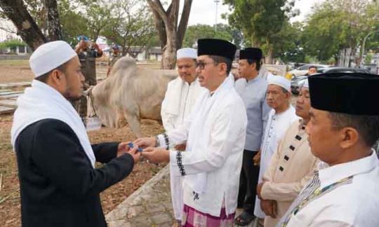 Idul Adha, Pemkab Lampung Selatan Potong 39 Sapi dan 11 Kambing