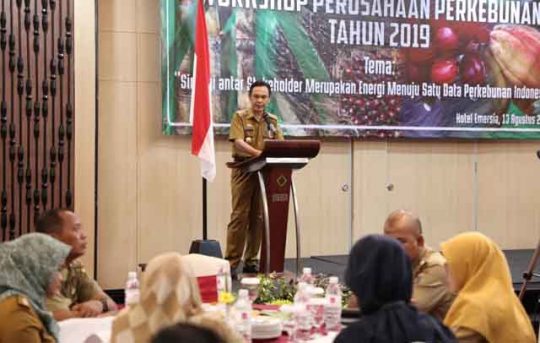 Pemprov-BPS Kumpulkan Data Akurat Perkebunan di Lampung