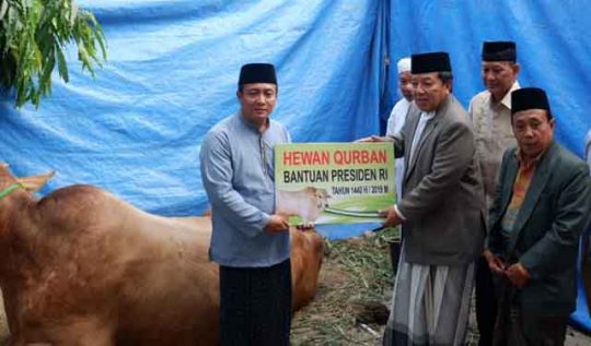 Salat Ied di Bandarjaya, Gubernur Arinal Serahkan Sapi Sumbangan Presiden Jokowi