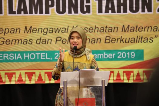 Wagub Lampung Ajak Para Bidan Bersinergi Tingkatkan Derajat Kesehatan