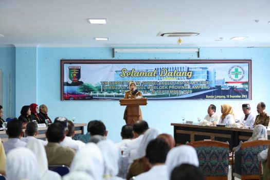Nunik Optimis RSUAM Raih Akreditasi Paripurna SNARS Edisi I