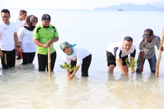 Wagub Nunik Tanam Mangrove dan Bersih Pantai di Pesawaran