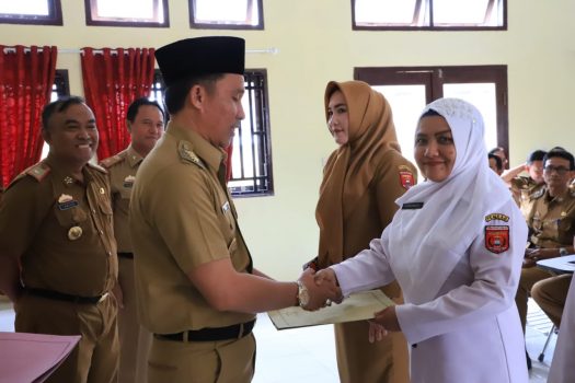 Bupati Parosil Serahkan SK Pengangkatan TKD dan Perpanjangan PTTD Bidan