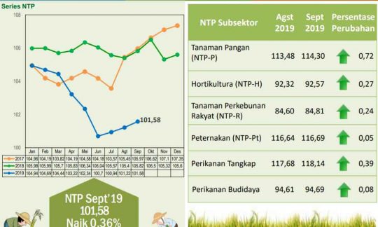 Nilai Tukar Petani Lampung pada September 2019 Naik 0,36 Persen