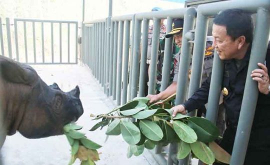 Suaka Rhino Sumatera II di TNWK Diresmikan, Ini Kata Gubernur Lampung