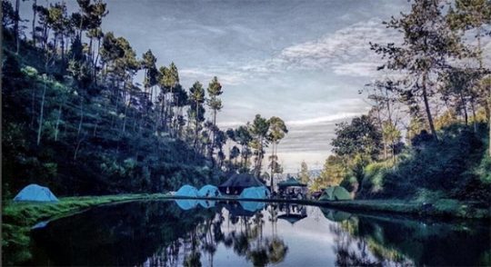 Wisata Kebun Kopi, Sensasi Minum Kopi di Tengah Kebun