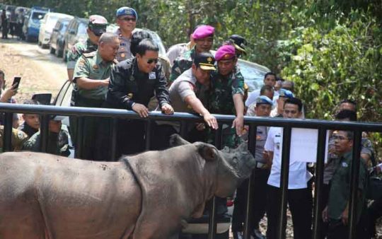 Suaka Rhino Sumatera II di Taman Nasional Way Kambas Diresmikan